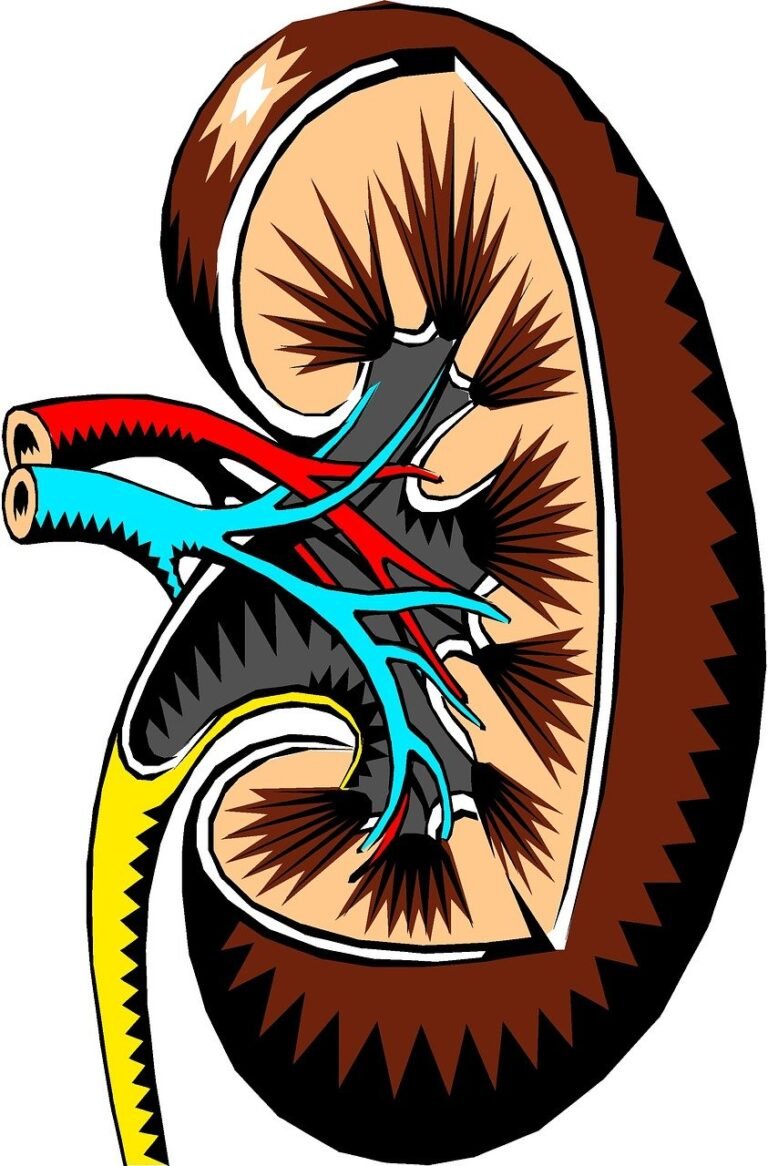 Kidney solutions